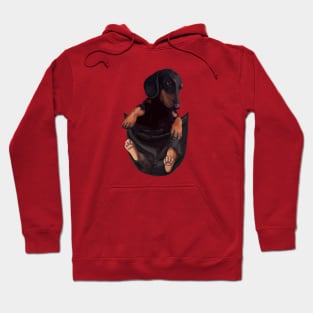 Dachshund In Your Pocket Hoodie